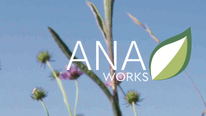 ANA WORKS HOUSING LOGO